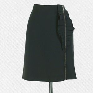 BNWT Banana Republic Black Silk Ruffle Zipper Skirt 10